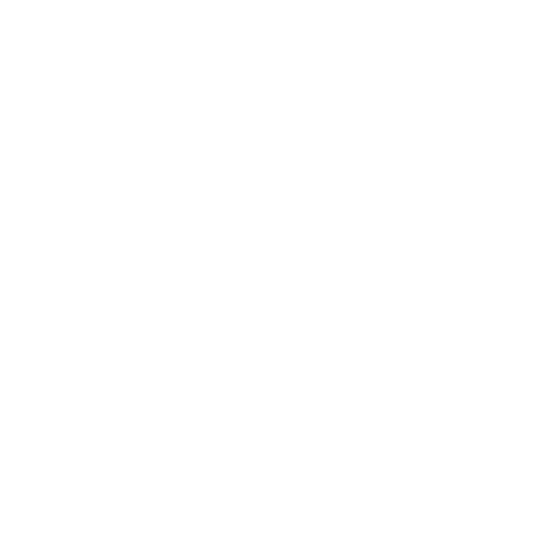 Lightspeed Platinum Partner